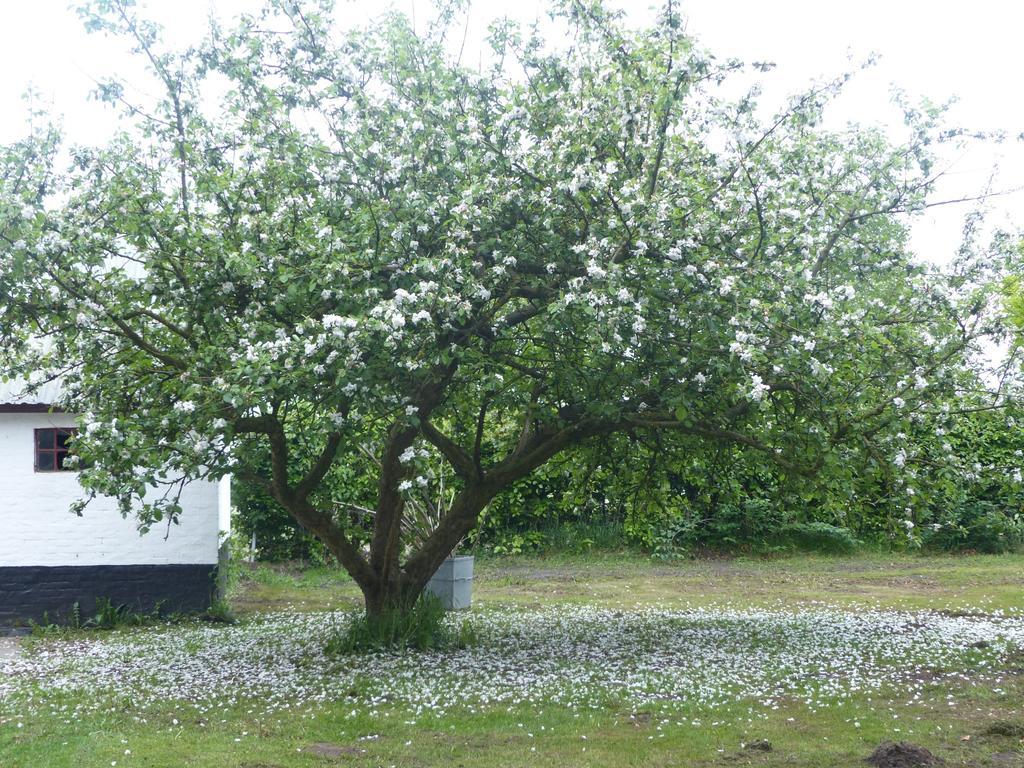 Kristiansminde Farm Holiday Tistrup Eksteriør bilde